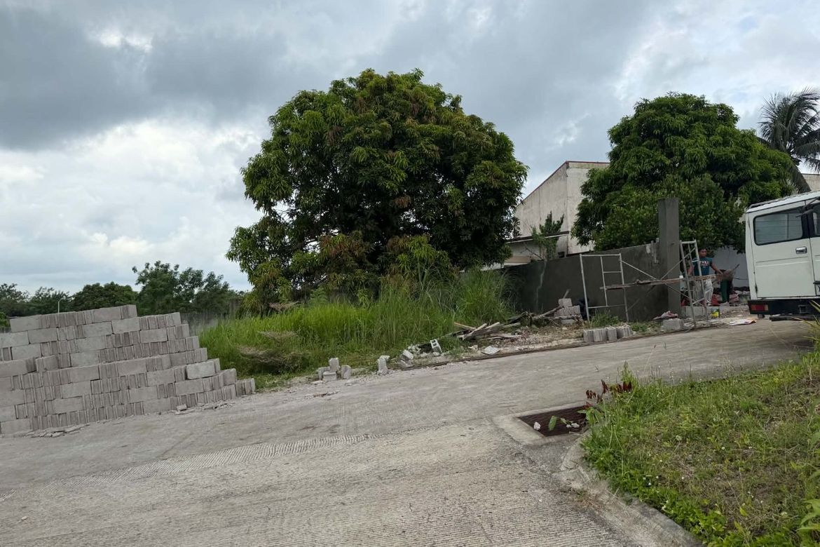 Land for Sale in Dagatan, Amadeo, Cavite – photo 2