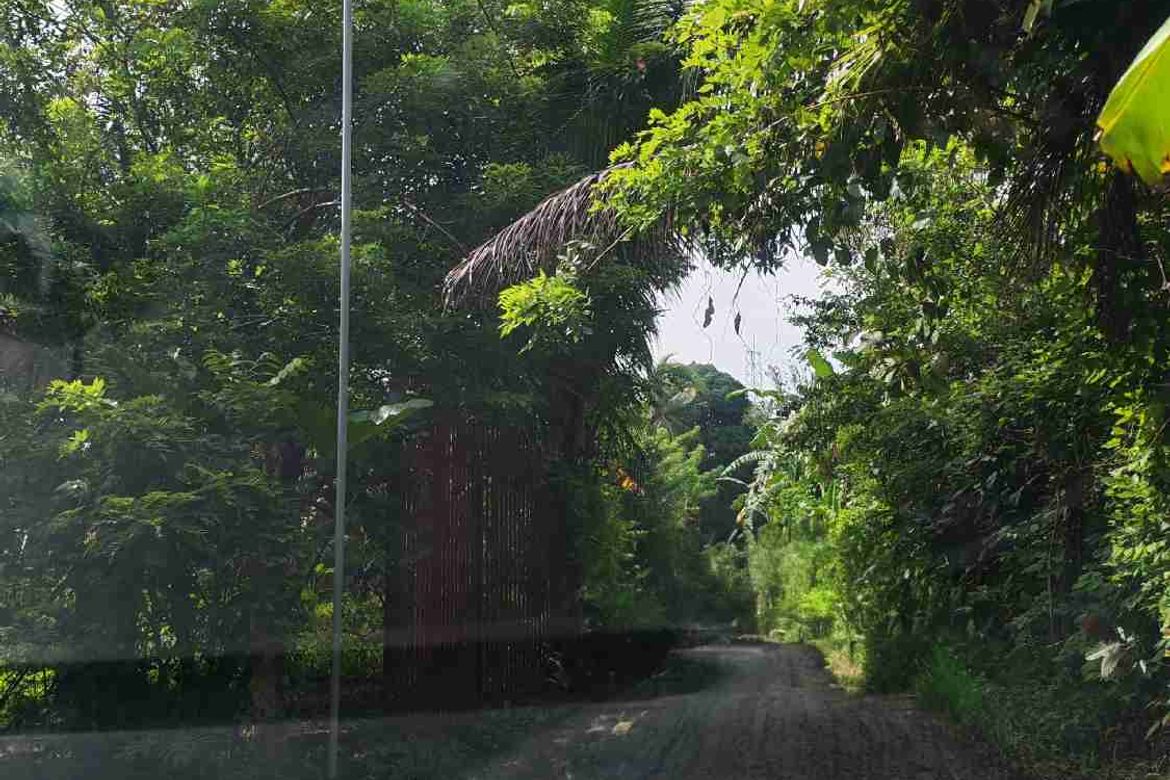 Land for Sale in Dagatan, Amadeo, Cavite