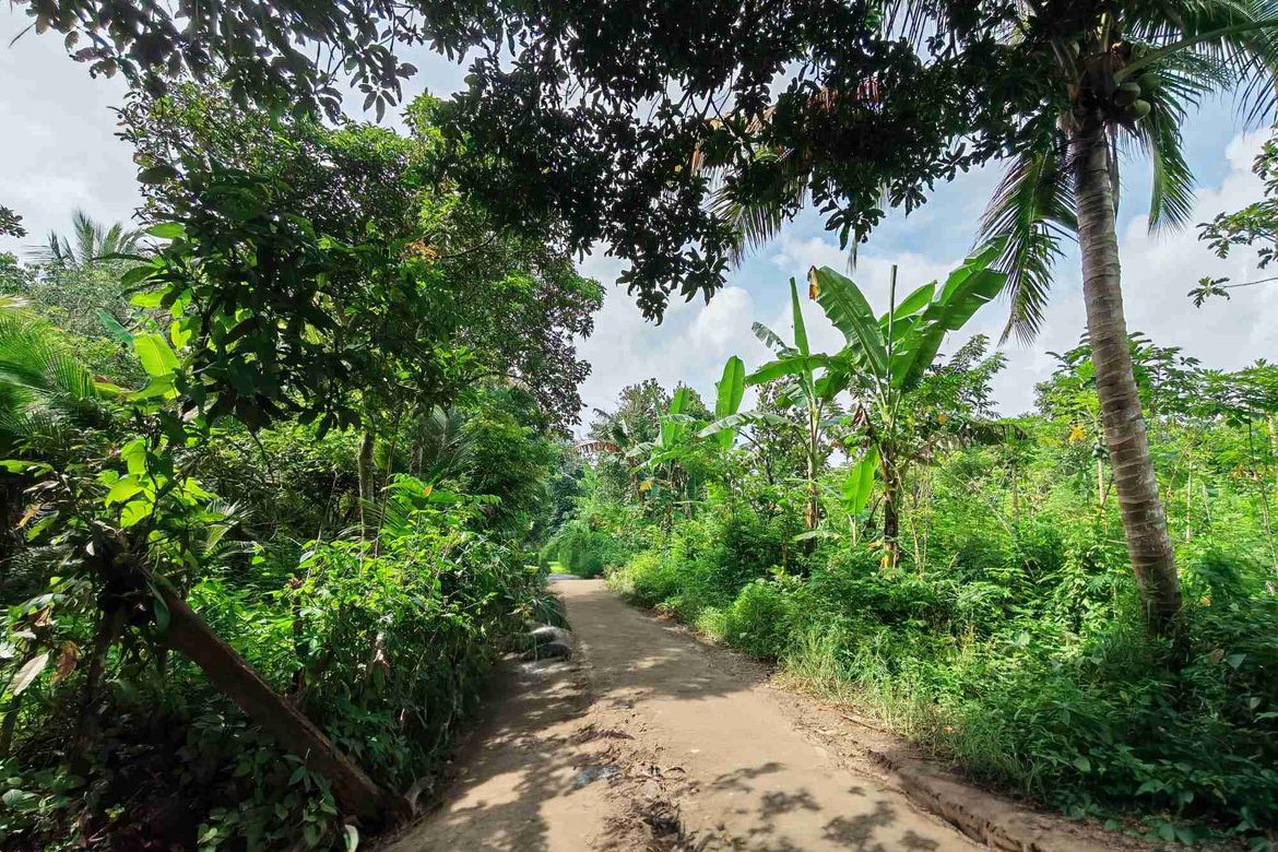Land for Sale in Dagatan, Amadeo, Cavite – photo 2