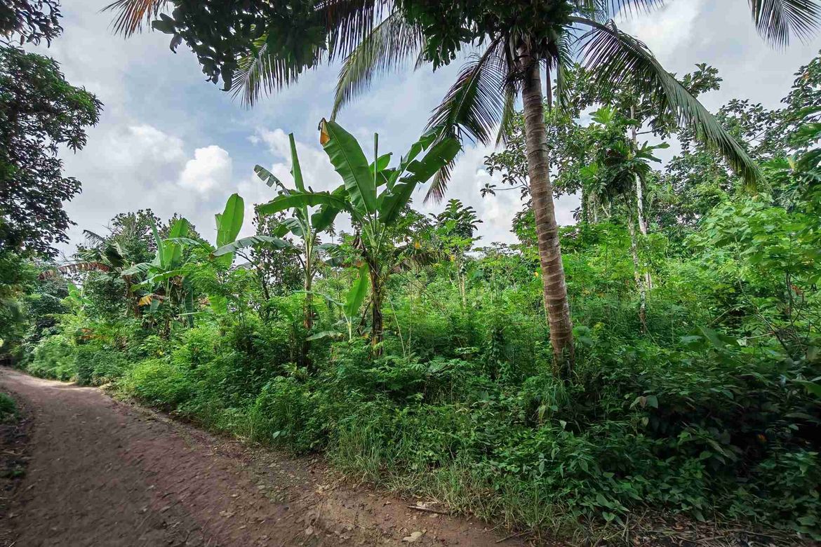 Land for Sale in Dagatan, Amadeo, Cavite – photo 3