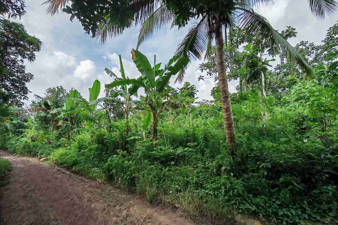 Land for Sale in Dagatan, Amadeo, Cavite – photo 4