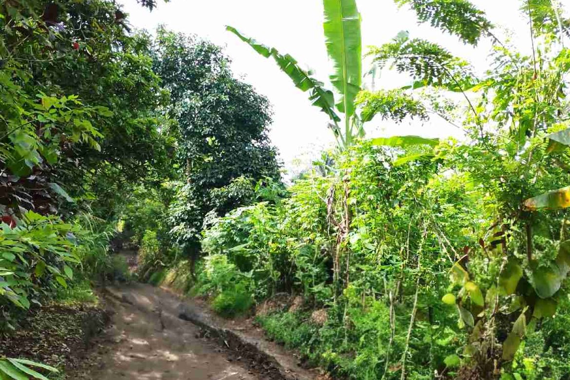 Land for Sale in Dagatan, Amadeo, Cavite – photo 5
