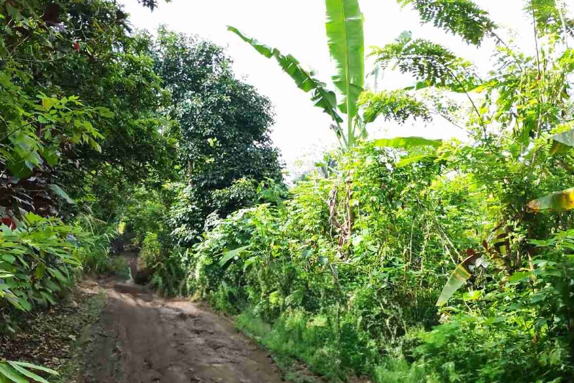 Land for Sale in Dagatan, Amadeo, Cavite – photo 6