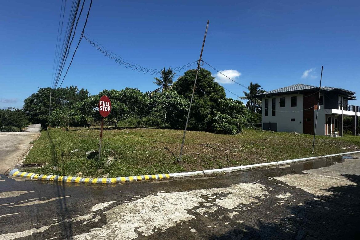 Land for Sale in Dagatan, Amadeo, Cavite – photo 3
