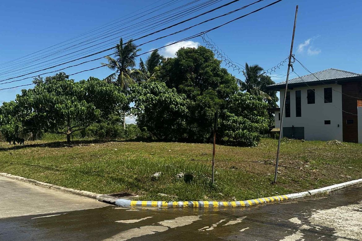 Land for Sale in Dagatan, Amadeo, Cavite – photo 5