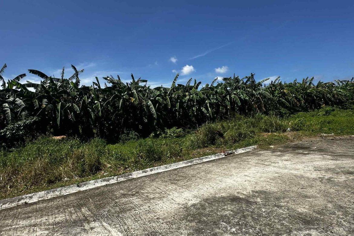 Land for Sale in Dagatan, Amadeo, Cavite – photo 4