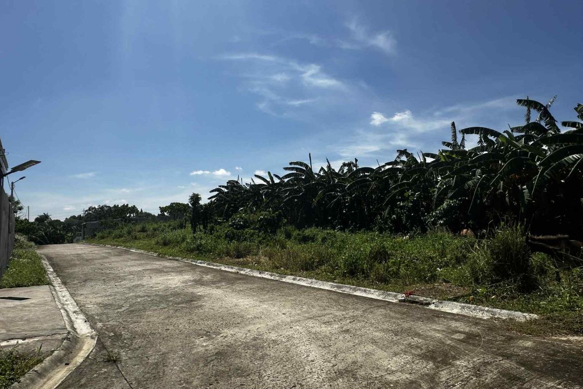 Land for Sale in Dagatan, Amadeo, Cavite – photo 5