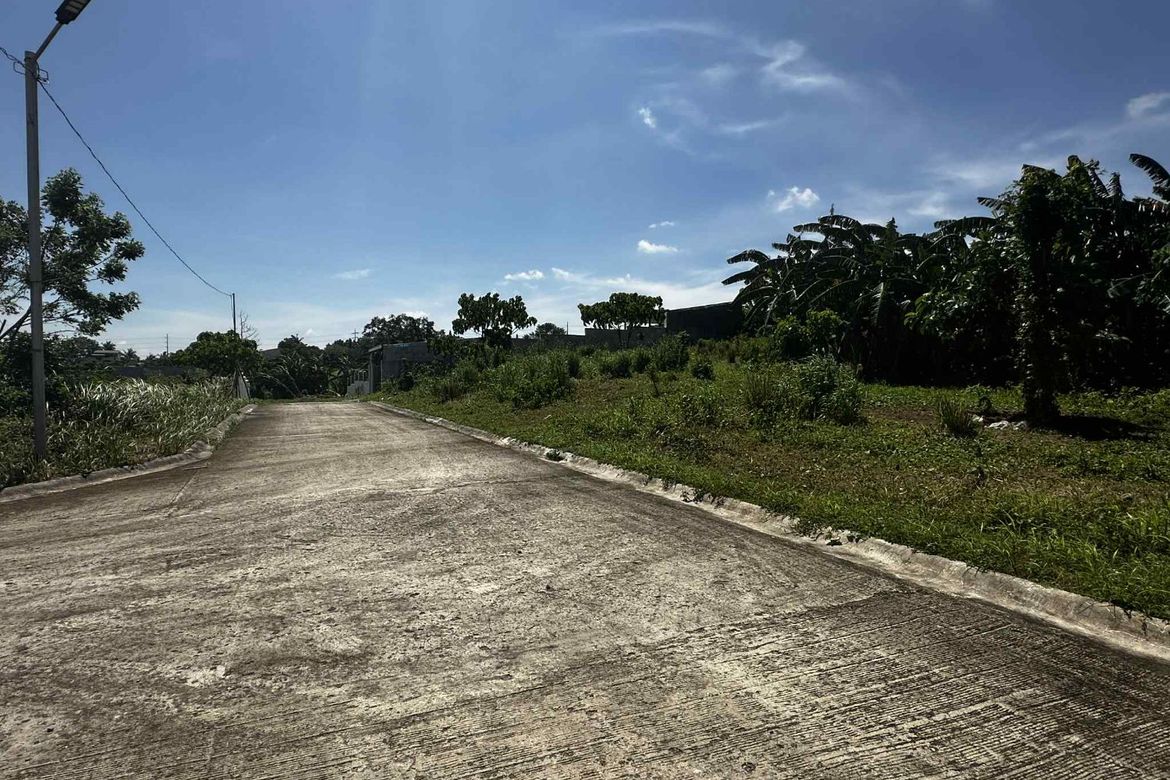 Land for Sale in Dagatan, Amadeo, Cavite – photo 7