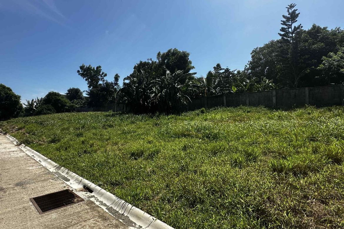 Land for Sale in Dagatan, Amadeo, Cavite – photo 8
