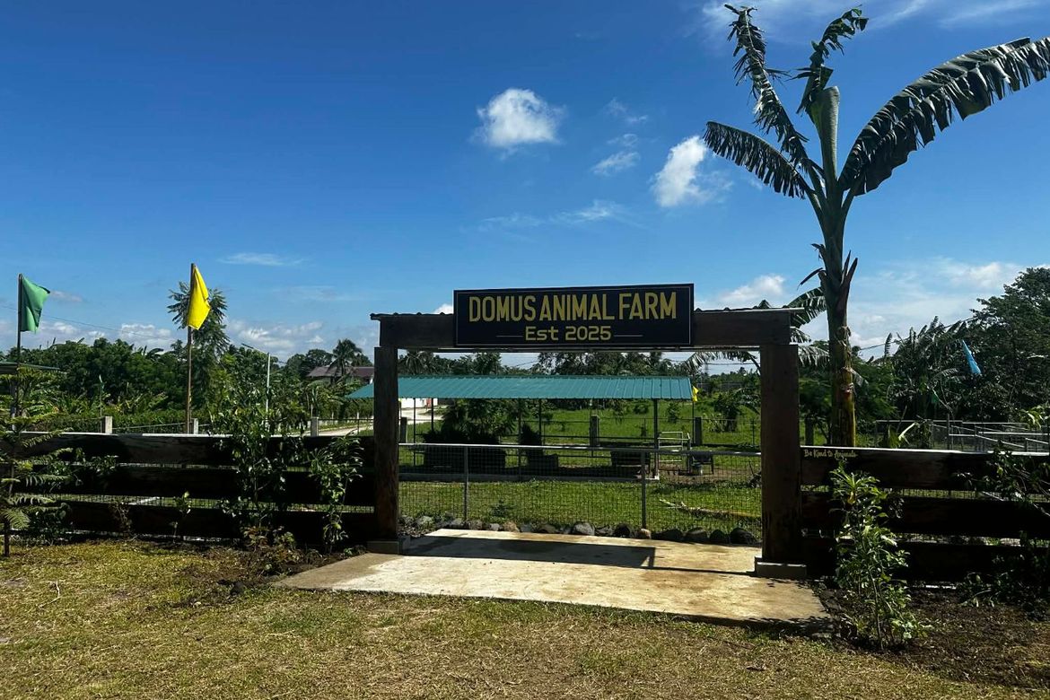 Land for Sale in Dagatan, Amadeo, Cavite – photo 4