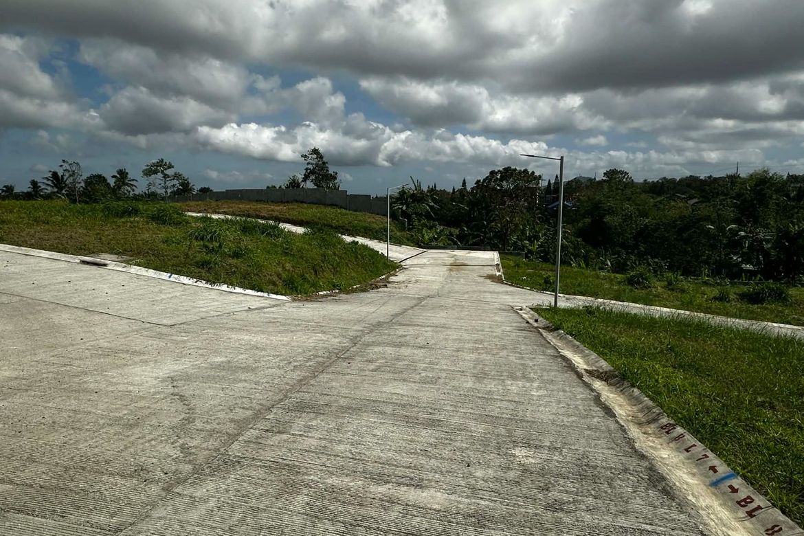 Land for Sale in Dagatan, Amadeo, Cavite – photo 6