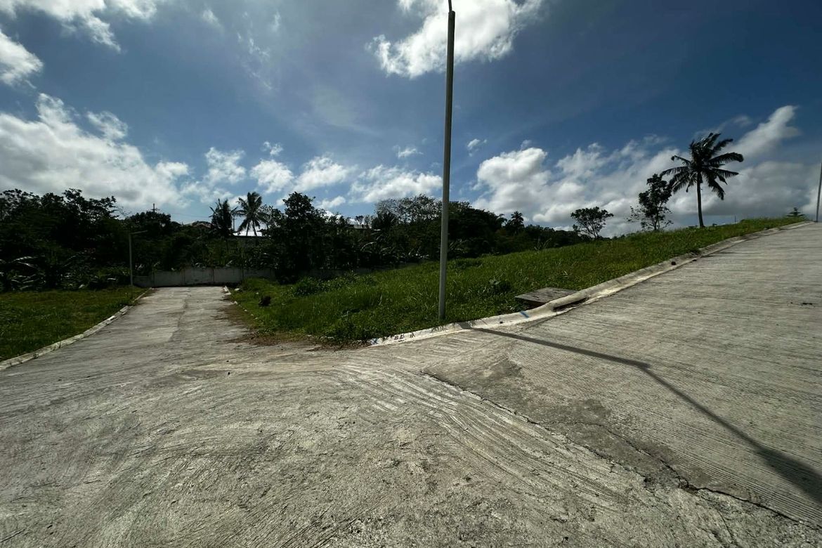 Land for Sale in Dagatan, Amadeo, Cavite – photo 7