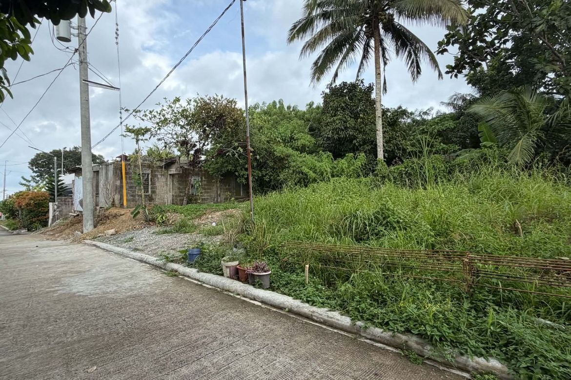 Land for Sale in Dagatan, Amadeo, Cavite – photo 2