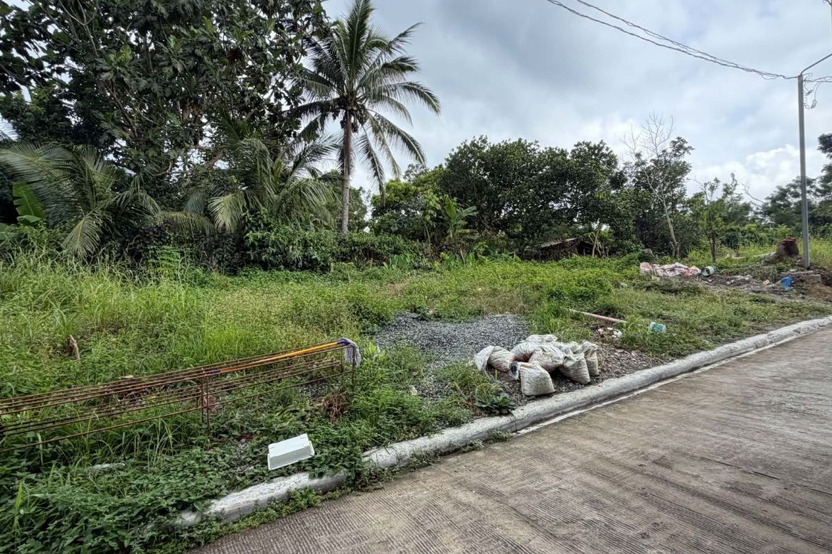 Land for Sale in Dagatan, Amadeo, Cavite – photo 3