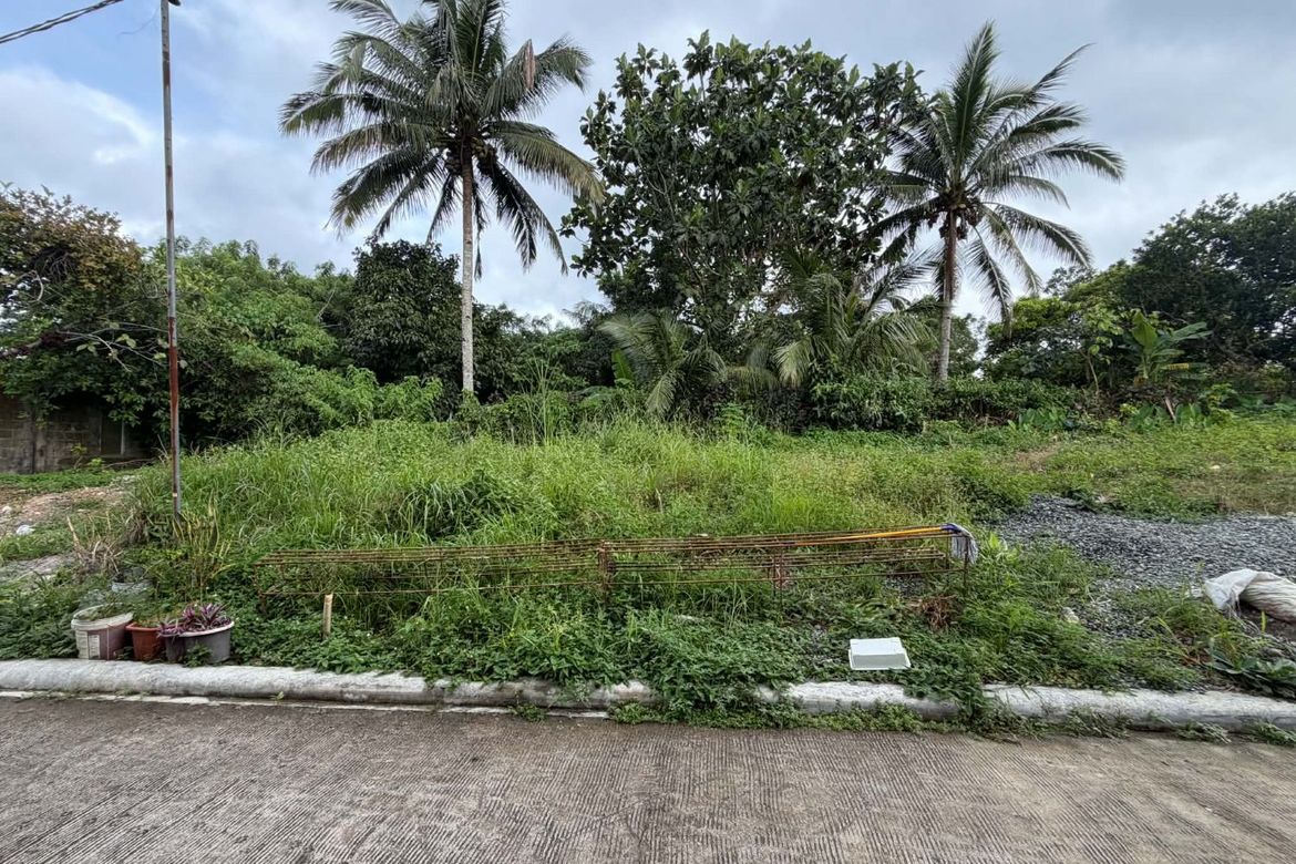 Land for Sale in Dagatan, Amadeo, Cavite – photo 4