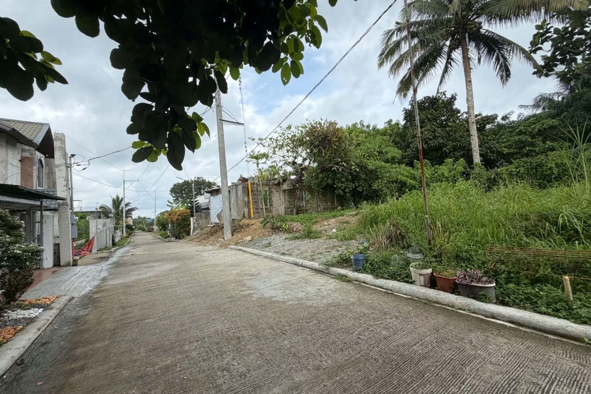 Land for Sale in Dagatan, Amadeo, Cavite – photo 5