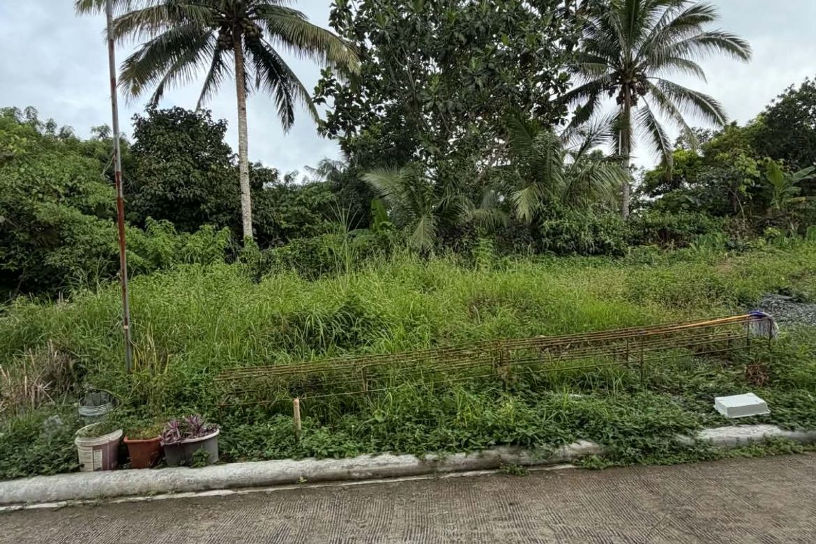 Land for Sale in Dagatan, Amadeo, Cavite – photo 6