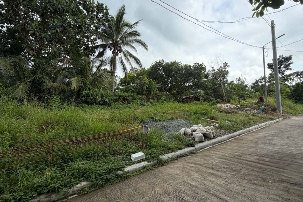 Land for Sale in Dagatan, Amadeo, Cavite – photo 7