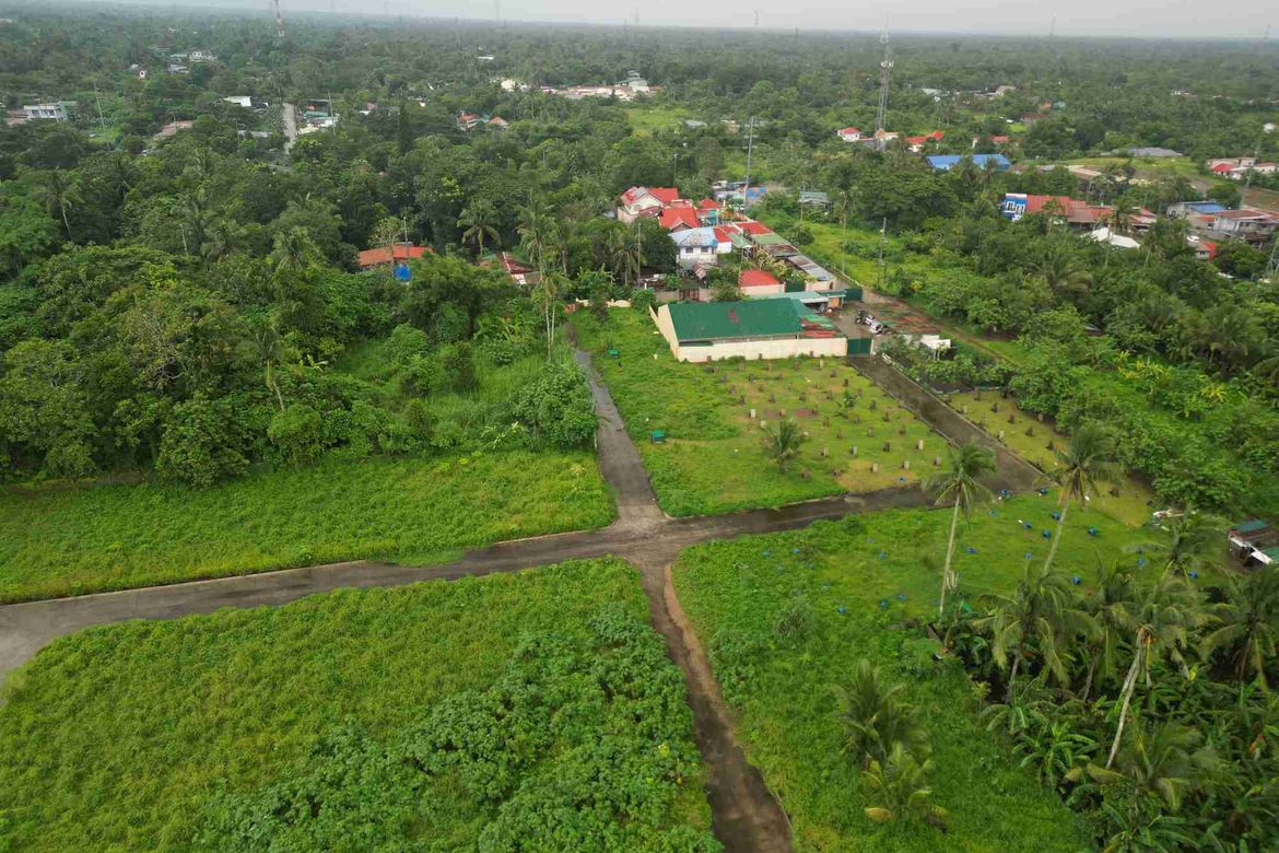 Land for Sale in Dagatan, Amadeo, Cavite – photo 2