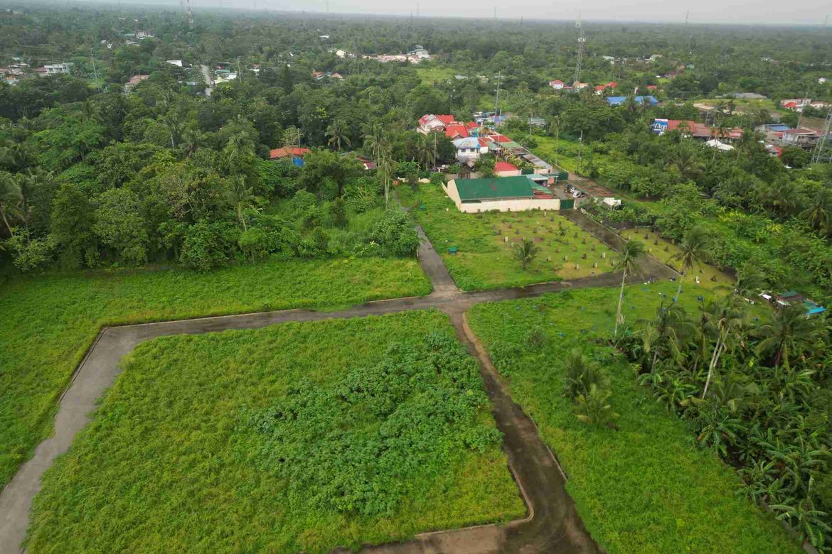 Land for Sale in Dagatan, Amadeo, Cavite – photo 3