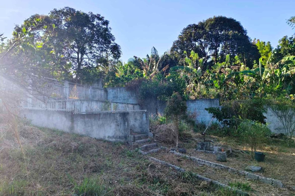 Land for Sale in Dagatan, Amadeo, Cavite – photo 4
