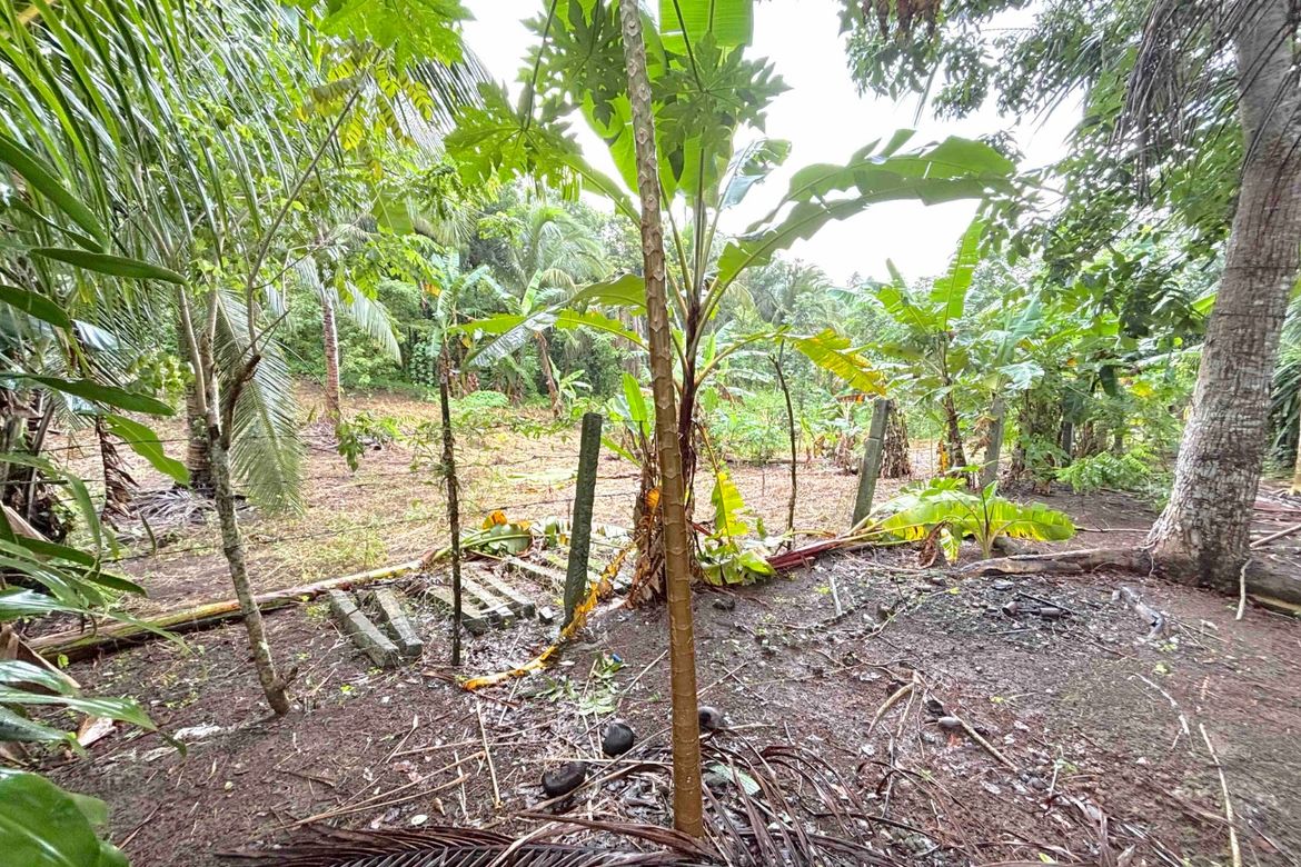 Land for Sale in Dagatan, Amadeo, Cavite