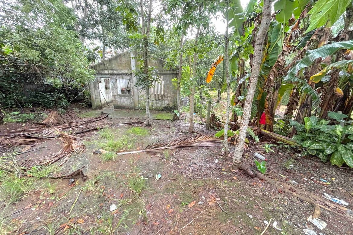 Land for Sale in Dagatan, Amadeo, Cavite – photo 2