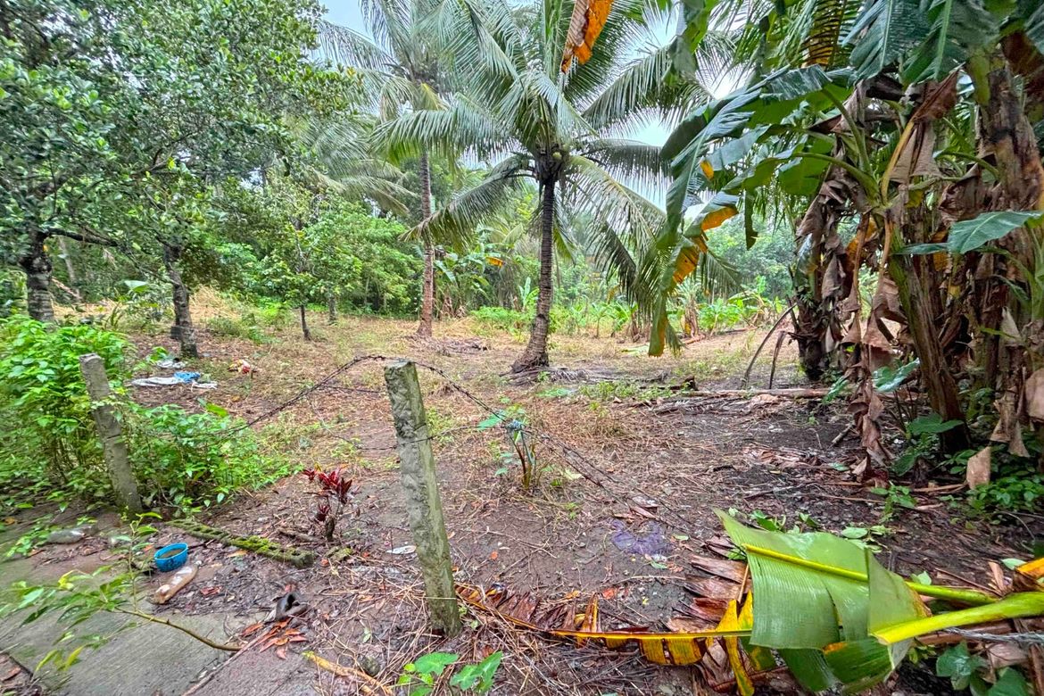 Land for Sale in Dagatan, Amadeo, Cavite – photo 3