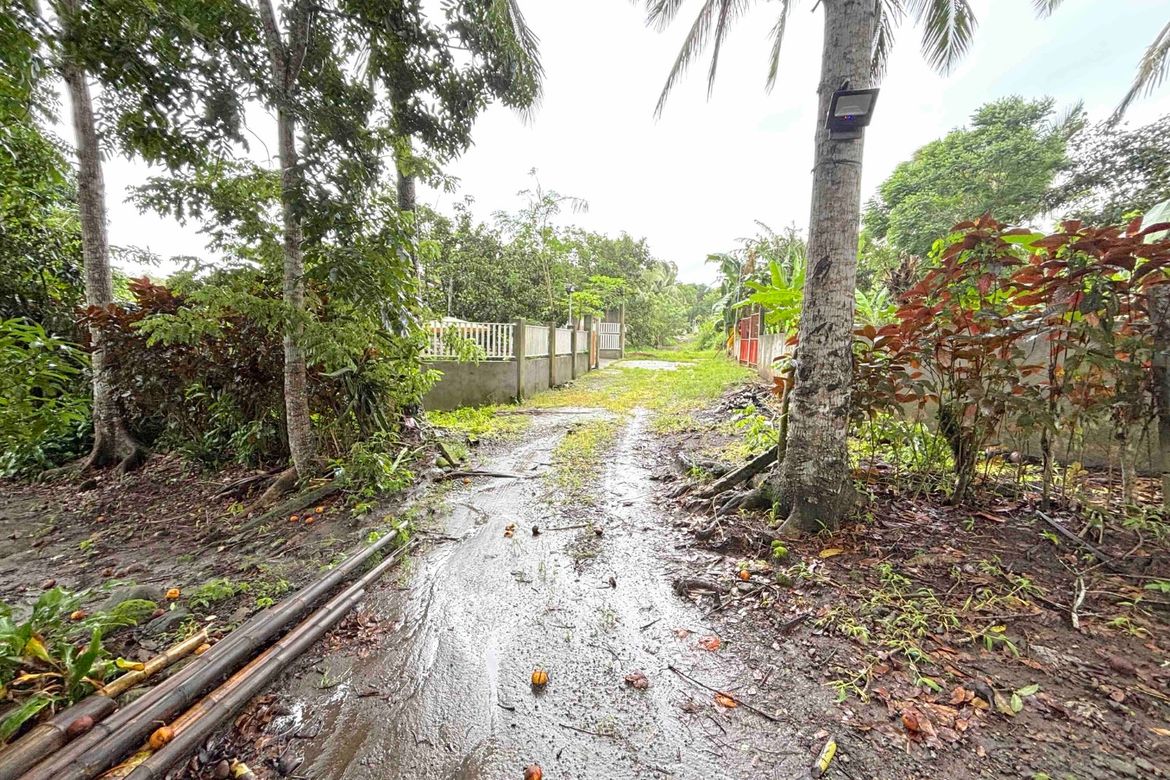 Land for Sale in Dagatan, Amadeo, Cavite – photo 4