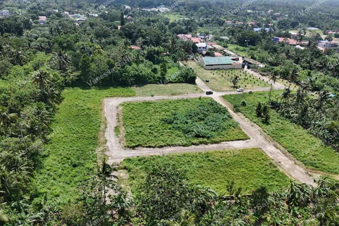 Land for Sale in Dagatan, Amadeo, Cavite