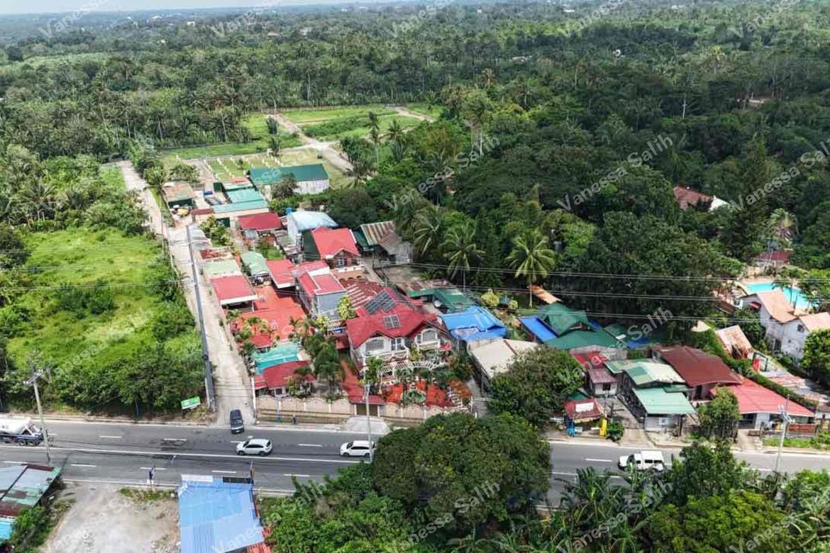 Land for Sale in Dagatan, Amadeo, Cavite – photo 2