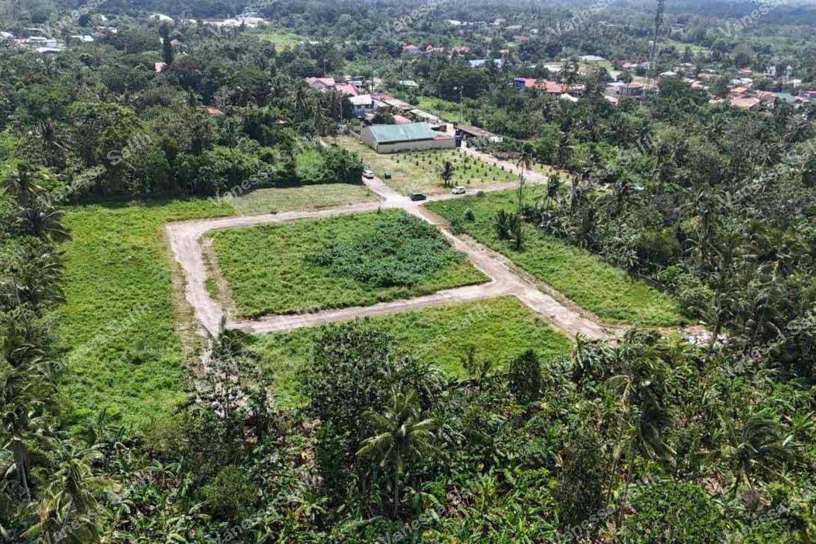 Land for Sale in Dagatan, Amadeo, Cavite – photo 4