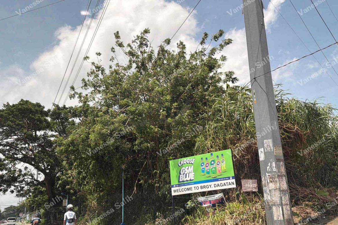 Land for Sale in Dagatan, Amadeo, Cavite – photo 8