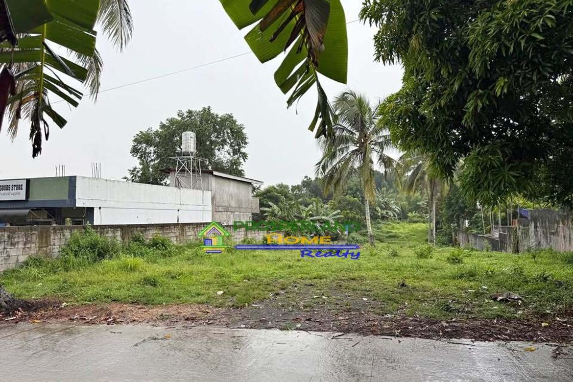 Land for Sale in Dagatan, Amadeo, Cavite