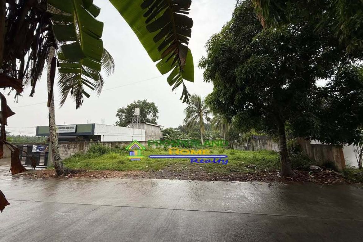 Land for Sale in Dagatan, Amadeo, Cavite – photo 4