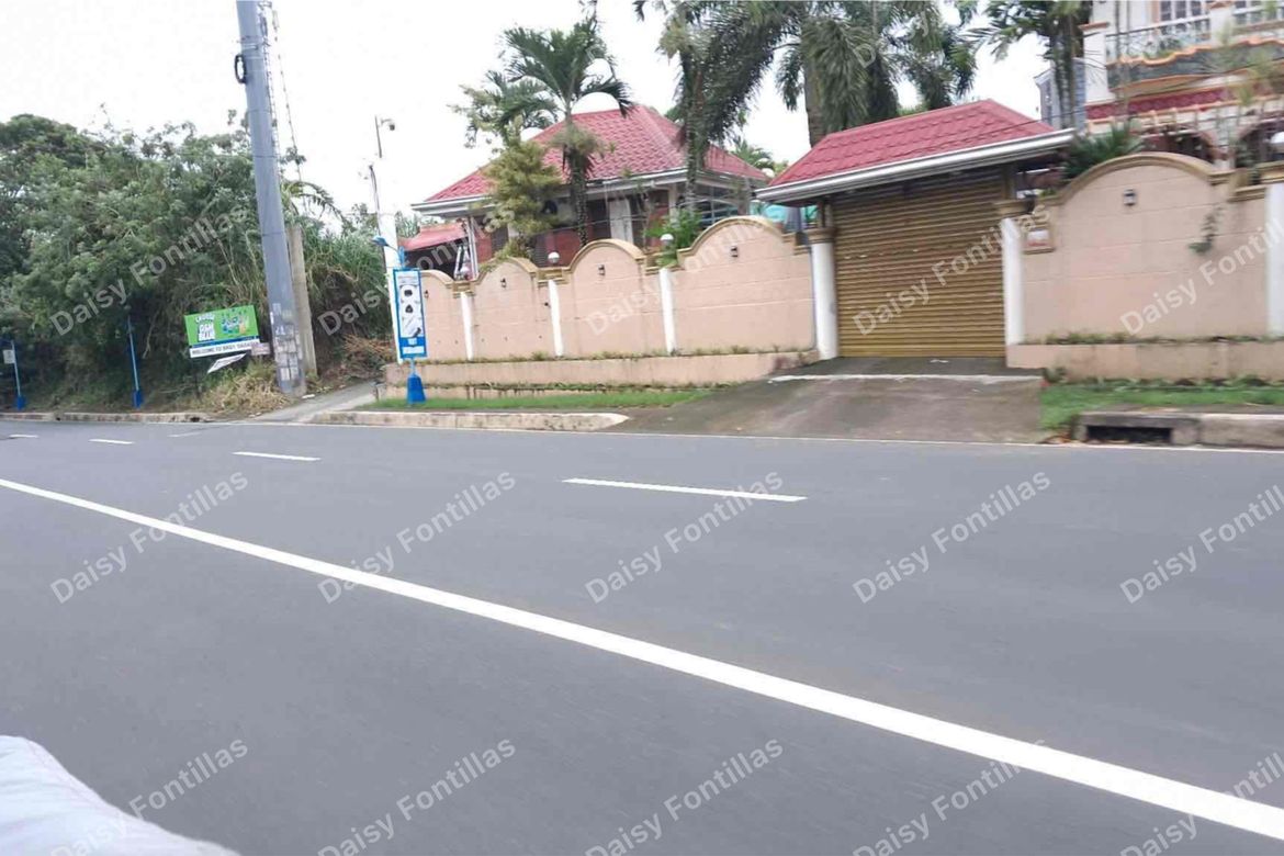 Land for Sale in Dagatan, Amadeo, Cavite – photo 3