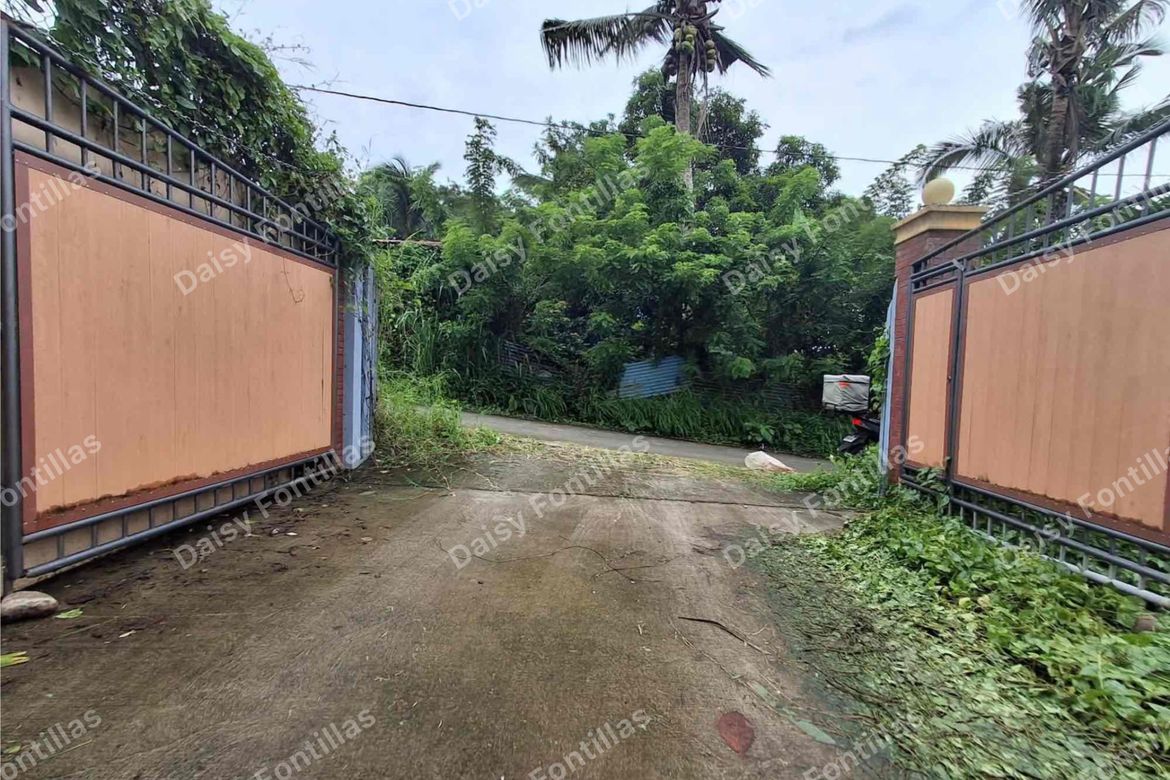 Land for Sale in Dagatan, Amadeo, Cavite – photo 5
