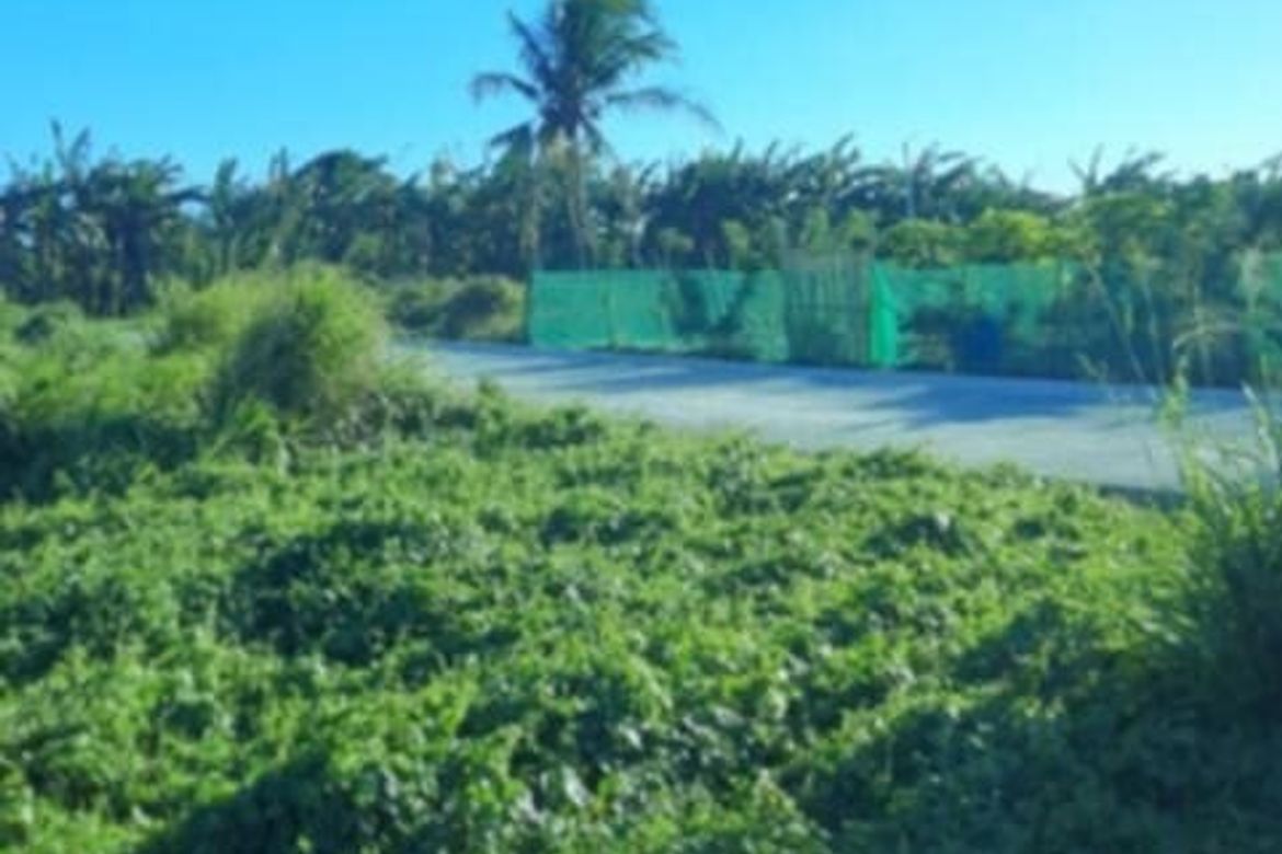 Land for Sale in Dagatan, Amadeo, Cavite – photo 7