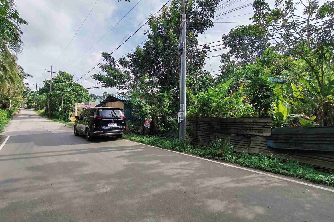 Land for Sale in Dagatan, Amadeo, Cavite – photo 2