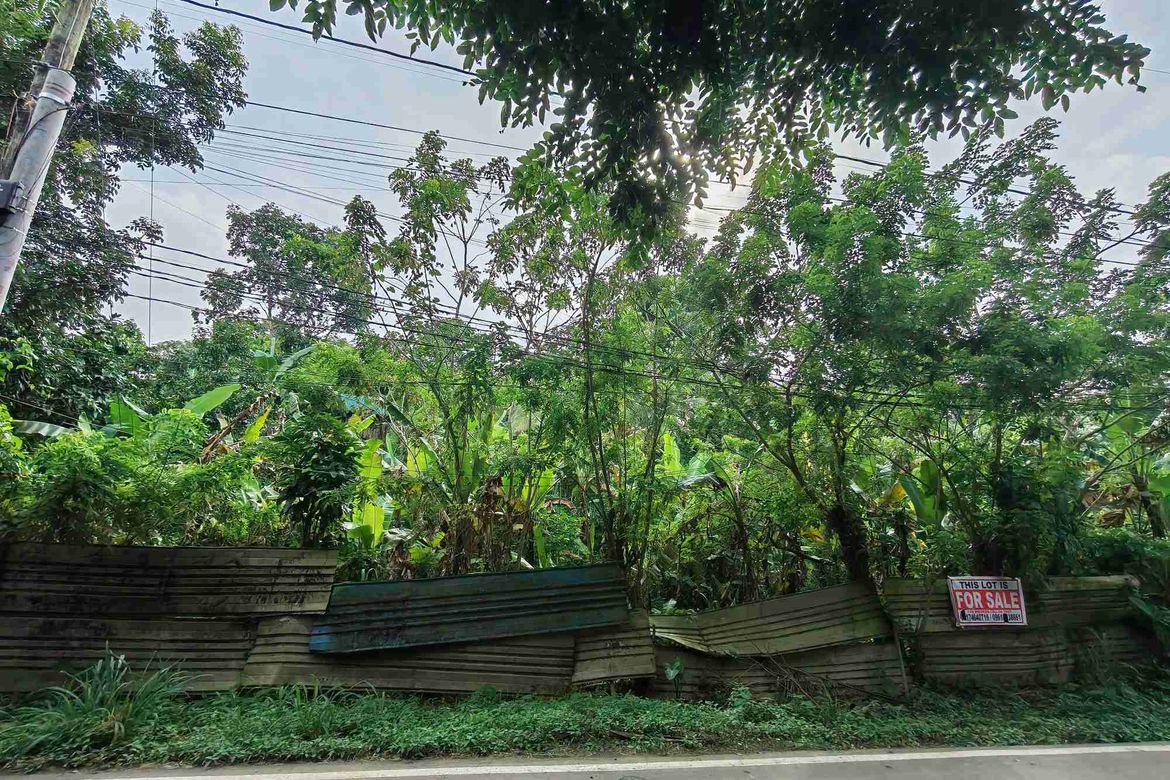 Land for Sale in Dagatan, Amadeo, Cavite – photo 3