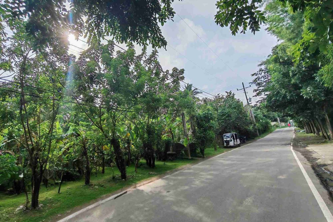 Land for Sale in Dagatan, Amadeo, Cavite – photo 6