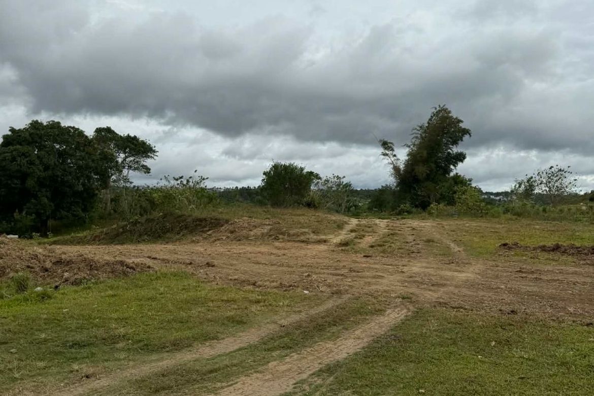 Land for Sale in Dagatan, Amadeo, Cavite – photo 3
