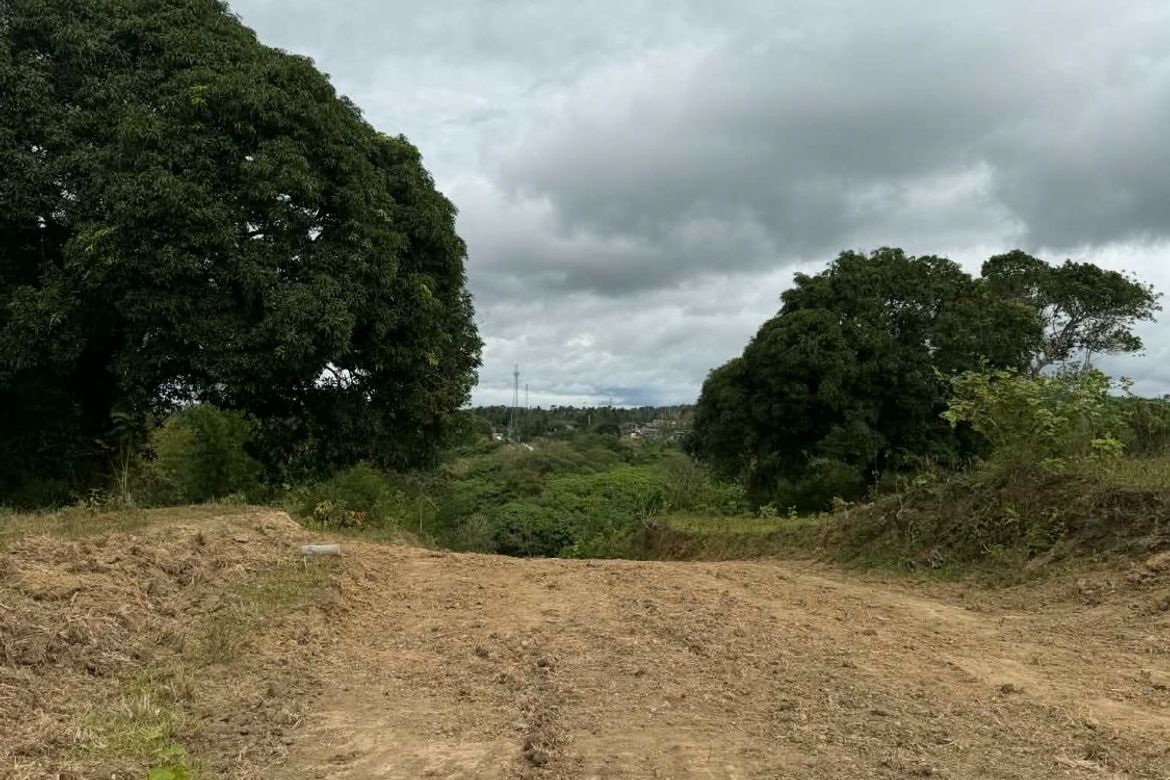 Land for Sale in Dagatan, Amadeo, Cavite – photo 7