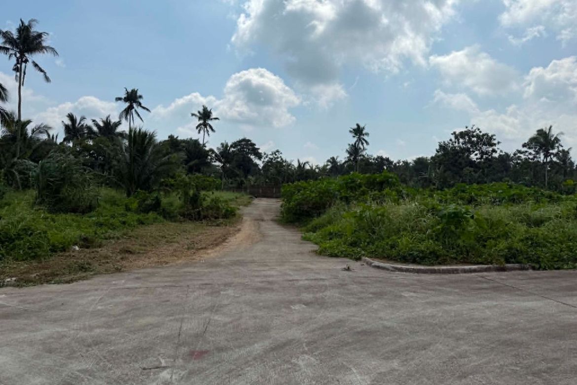 Land for Sale in Dagatan, Amadeo, Cavite – photo 2