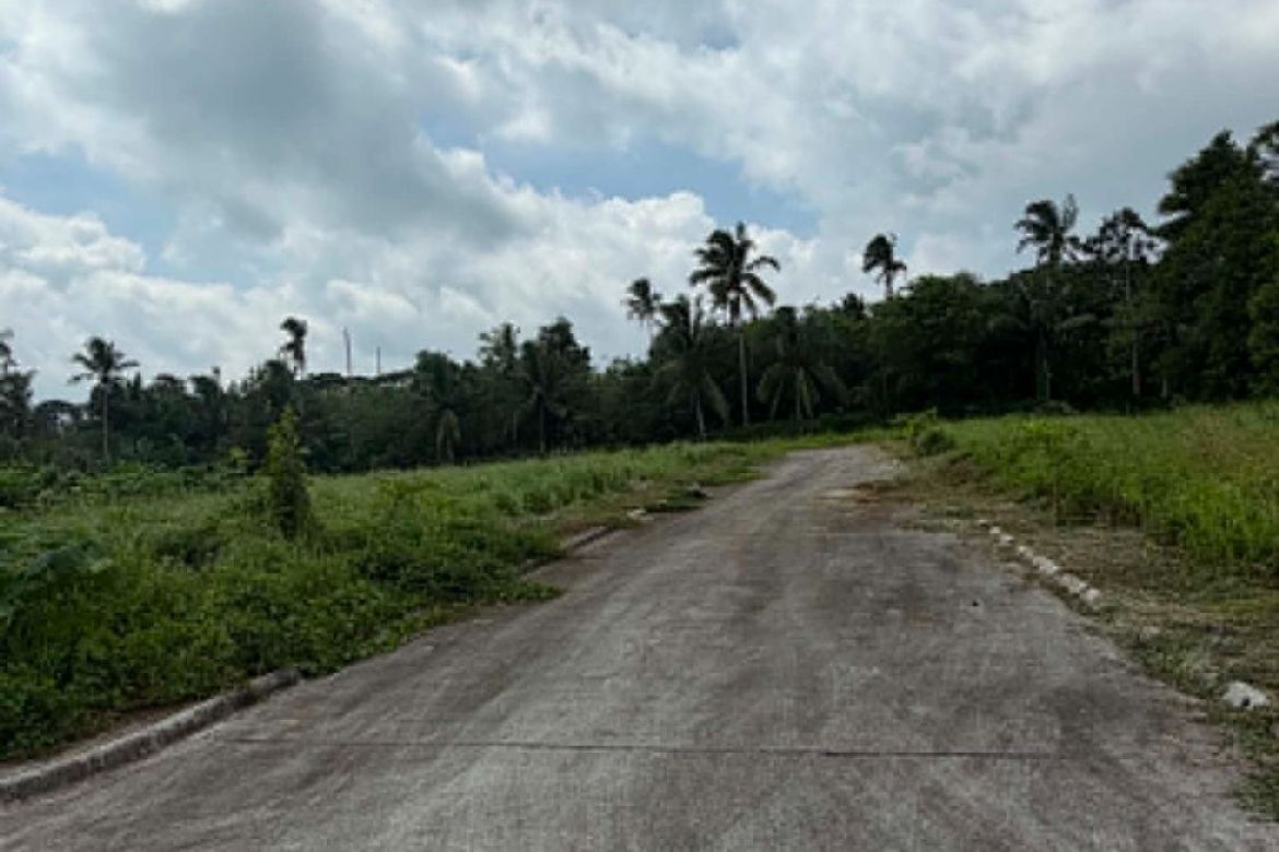 Land for Sale in Dagatan, Amadeo, Cavite – photo 6