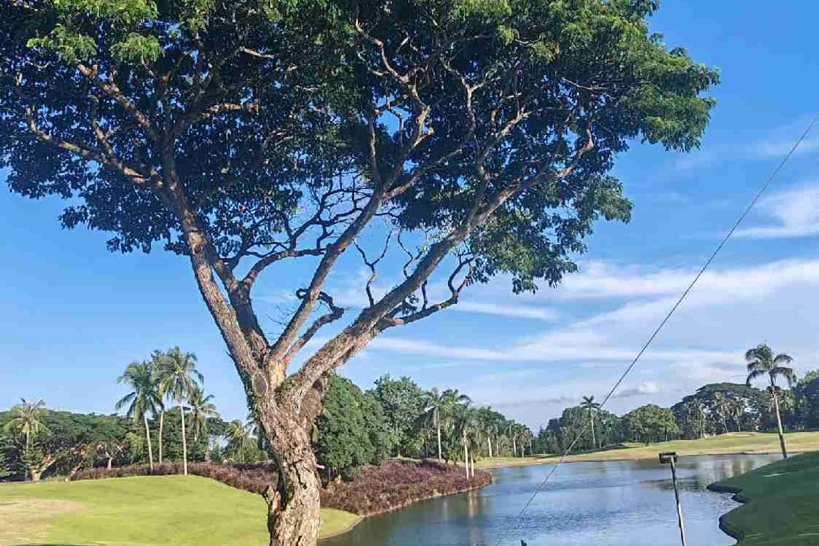 Land for Sale in Dagatan, Lipa, Batangas – photo 7