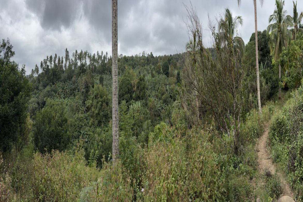 Land for Sale in Dagatan, Lipa, Batangas – photo 4