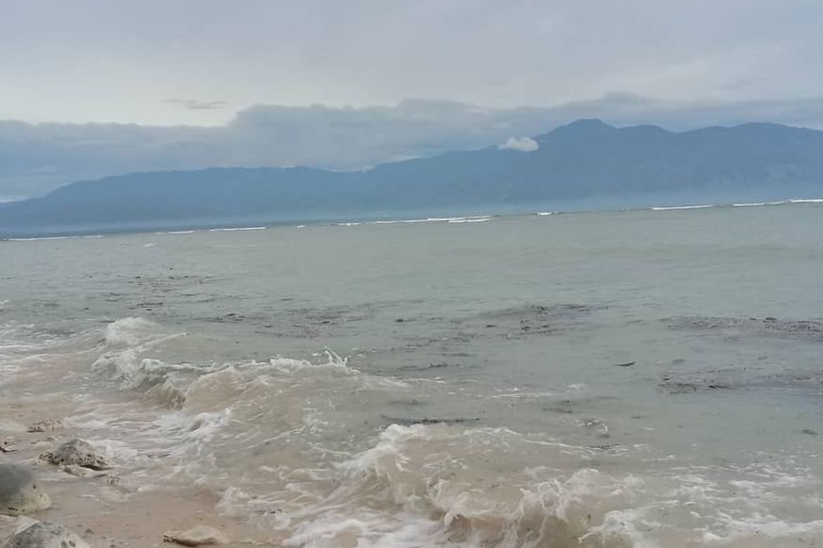 Land for Sale in Dahican, Mati, Davao Oriental – photo 2