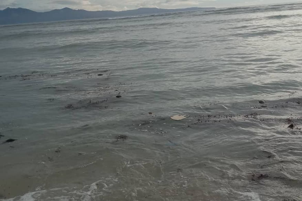 Land for Sale in Dahican, Mati, Davao Oriental – photo 4