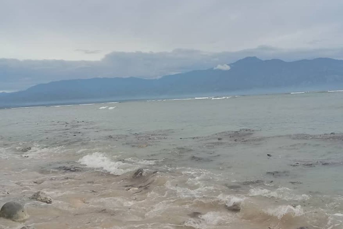 Land for Sale in Dahican, Mati, Davao Oriental – photo 5